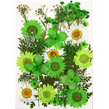 Load image into Gallery viewer, 1Bag Dried Flowers Pressed Flowers Stickers for DIY Phone Case Epoxy Resin Filling Pendant Jewelry Making Crafts Nail Art Decor