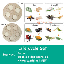 Load image into Gallery viewer, Montessori Animal and Plant Life Cycle Board Set for Kids