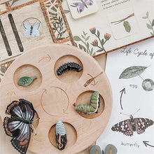 Load image into Gallery viewer, Montessori Animal and Plant Life Cycle Board Set for Kids