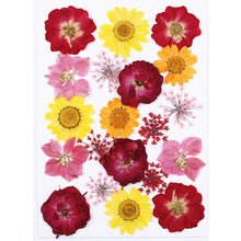 Load image into Gallery viewer, 1Bag Dried Flowers Pressed Flowers Stickers for DIY Phone Case Epoxy Resin Filling Pendant Jewelry Making Crafts Nail Art Decor