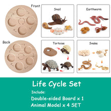 Load image into Gallery viewer, Montessori Animal and Plant Life Cycle Board Set for Kids