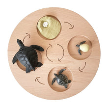 Load image into Gallery viewer, Montessori Animal and Plant Life Cycle Board Set for Kids