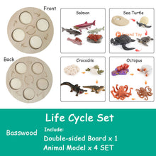 Load image into Gallery viewer, Montessori Animal and Plant Life Cycle Board Set for Kids
