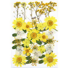 Load image into Gallery viewer, 1Bag Dried Flowers Pressed Flowers Stickers for DIY Phone Case Epoxy Resin Filling Pendant Jewelry Making Crafts Nail Art Decor