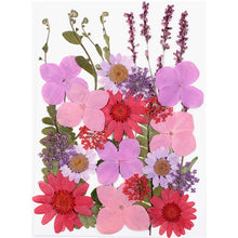 Load image into Gallery viewer, 1Bag Dried Flowers Pressed Flowers Stickers for DIY Phone Case Epoxy Resin Filling Pendant Jewelry Making Crafts Nail Art Decor