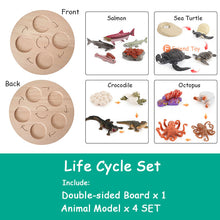 Load image into Gallery viewer, Montessori Animal and Plant Life Cycle Board Set for Kids