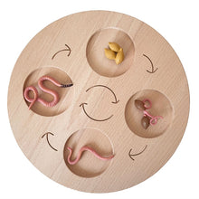 Load image into Gallery viewer, Montessori Animal and Plant Life Cycle Board Set for Kids