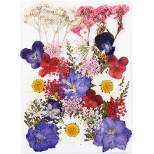 Load image into Gallery viewer, 1Bag Dried Flowers Pressed Flowers Stickers for DIY Phone Case Epoxy Resin Filling Pendant Jewelry Making Crafts Nail Art Decor