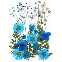 Load image into Gallery viewer, 1Bag Dried Flowers Pressed Flowers Stickers for DIY Phone Case Epoxy Resin Filling Pendant Jewelry Making Crafts Nail Art Decor