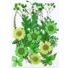 Load image into Gallery viewer, 1Bag Dried Flowers Pressed Flowers Stickers for DIY Phone Case Epoxy Resin Filling Pendant Jewelry Making Crafts Nail Art Decor