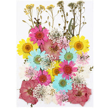 Load image into Gallery viewer, 1Bag Dried Flowers Pressed Flowers Stickers for DIY Phone Case Epoxy Resin Filling Pendant Jewelry Making Crafts Nail Art Decor