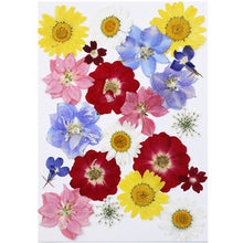 Load image into Gallery viewer, 1Bag Dried Flowers Pressed Flowers Stickers for DIY Phone Case Epoxy Resin Filling Pendant Jewelry Making Crafts Nail Art Decor