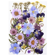 Load image into Gallery viewer, 1Bag Dried Flowers Pressed Flowers Stickers for DIY Phone Case Epoxy Resin Filling Pendant Jewelry Making Crafts Nail Art Decor
