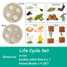 Load image into Gallery viewer, Montessori Animal and Plant Life Cycle Board Set for Kids