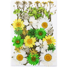 Load image into Gallery viewer, 1Bag Dried Flowers Pressed Flowers Stickers for DIY Phone Case Epoxy Resin Filling Pendant Jewelry Making Crafts Nail Art Decor