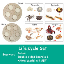 Load image into Gallery viewer, Montessori Animal and Plant Life Cycle Board Set for Kids