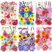 Load image into Gallery viewer, 1Bag Dried Flowers Pressed Flowers Stickers for DIY Phone Case Epoxy Resin Filling Pendant Jewelry Making Crafts Nail Art Decor