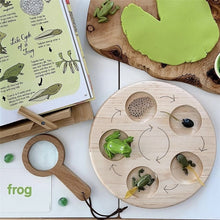 Load image into Gallery viewer, Montessori Animal and Plant Life Cycle Board Set for Kids