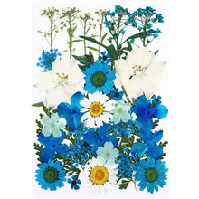 Load image into Gallery viewer, 1Bag Dried Flowers Pressed Flowers Stickers for DIY Phone Case Epoxy Resin Filling Pendant Jewelry Making Crafts Nail Art Decor