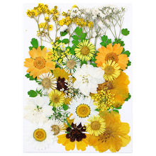 Load image into Gallery viewer, 1Bag Dried Flowers Pressed Flowers Stickers for DIY Phone Case Epoxy Resin Filling Pendant Jewelry Making Crafts Nail Art Decor