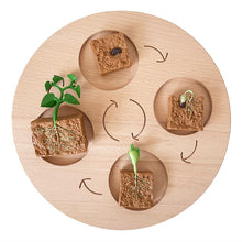 Load image into Gallery viewer, Montessori Animal and Plant Life Cycle Board Set for Kids