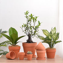 Load image into Gallery viewer, Colored Ceramic Flower Pot