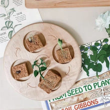 Load image into Gallery viewer, Montessori Animal and Plant Life Cycle Board Set for Kids
