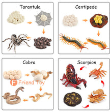 Load image into Gallery viewer, Montessori Animal and Plant Life Cycle Board Set for Kids
