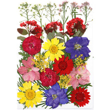 Load image into Gallery viewer, 1Bag Dried Flowers Pressed Flowers Stickers for DIY Phone Case Epoxy Resin Filling Pendant Jewelry Making Crafts Nail Art Decor