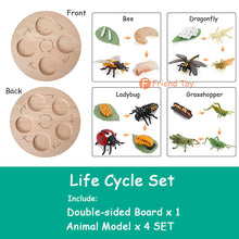 Load image into Gallery viewer, Montessori Animal and Plant Life Cycle Board Set for Kids