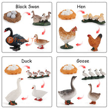Load image into Gallery viewer, Montessori Animal and Plant Life Cycle Board Set for Kids