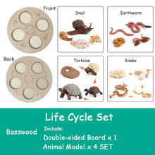 Load image into Gallery viewer, Montessori Animal and Plant Life Cycle Board Set for Kids
