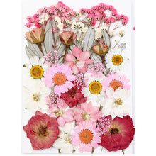 Load image into Gallery viewer, 1Bag Dried Flowers Pressed Flowers Stickers for DIY Phone Case Epoxy Resin Filling Pendant Jewelry Making Crafts Nail Art Decor