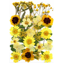Load image into Gallery viewer, 1Bag Dried Flowers Pressed Flowers Stickers for DIY Phone Case Epoxy Resin Filling Pendant Jewelry Making Crafts Nail Art Decor