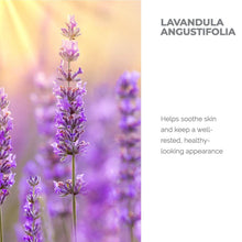 Load image into Gallery viewer, Organic Bulgarian Lavender Water Spray 250 ml
