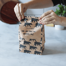 Load image into Gallery viewer, Recyclable Paper Lunch Sacs - 50 Count Variety Pack (25 Avoc
