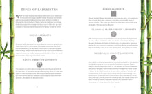Load image into Gallery viewer, Labyrinth Meditations: Meditation Exercises
