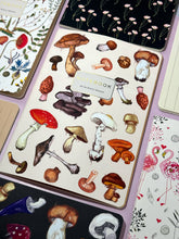 Load image into Gallery viewer, Mushrooms on White
