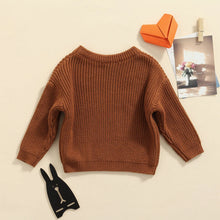 Load image into Gallery viewer, Little Ones Cotton Knit Pullover Sweater
