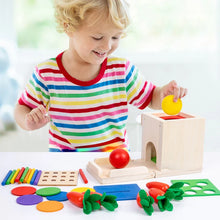 Load image into Gallery viewer, Montessori Wooden Play Kit, Object Permanence and Sorting
