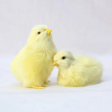 Load image into Gallery viewer, Realistic Chick Decoration Animal Doll Simulation Chick for Children Cognition Chicken Model Sound Soft Plush Toy Easter Gift
