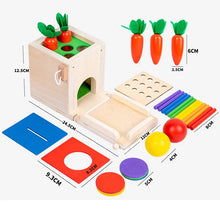 Load image into Gallery viewer, Montessori Wooden Play Kit, Object Permanence and Sorting
