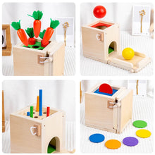 Load image into Gallery viewer, Montessori Wooden Play Kit, Object Permanence and Sorting
