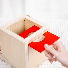 Load image into Gallery viewer, Montessori Wooden Play Kit, Object Permanence and Sorting
