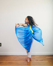 Load image into Gallery viewer, Fairy Wings - 100% Silk Dress-Up for Pretend Play: Rainbow
