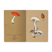 Load image into Gallery viewer, Mushrooms on White

