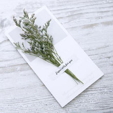 Load image into Gallery viewer, 10 Greeting Cards with Dried Glyphosilia Flowers
