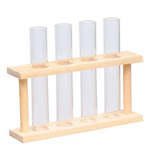 Load image into Gallery viewer, Glass Tube Vases
