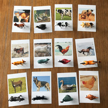 Load image into Gallery viewer, Montessori Matching Animal Cards
