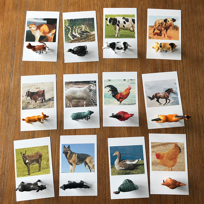 Montessori Matching Animal Cards